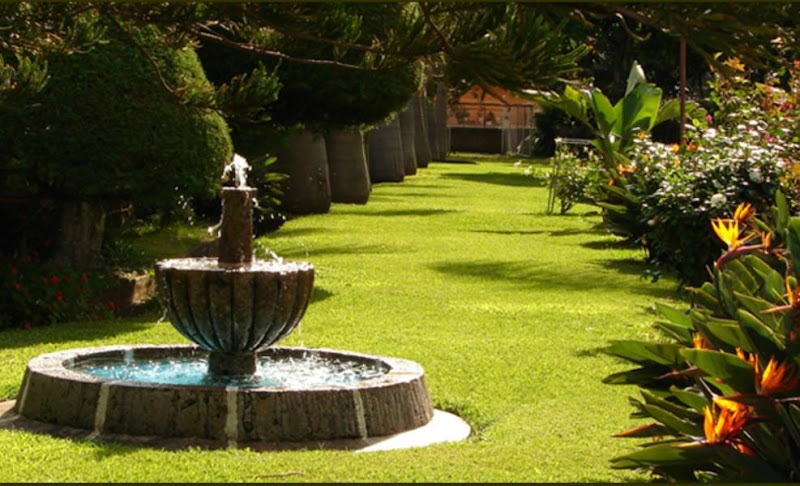 Hotel Los Cedros - Imagen 1