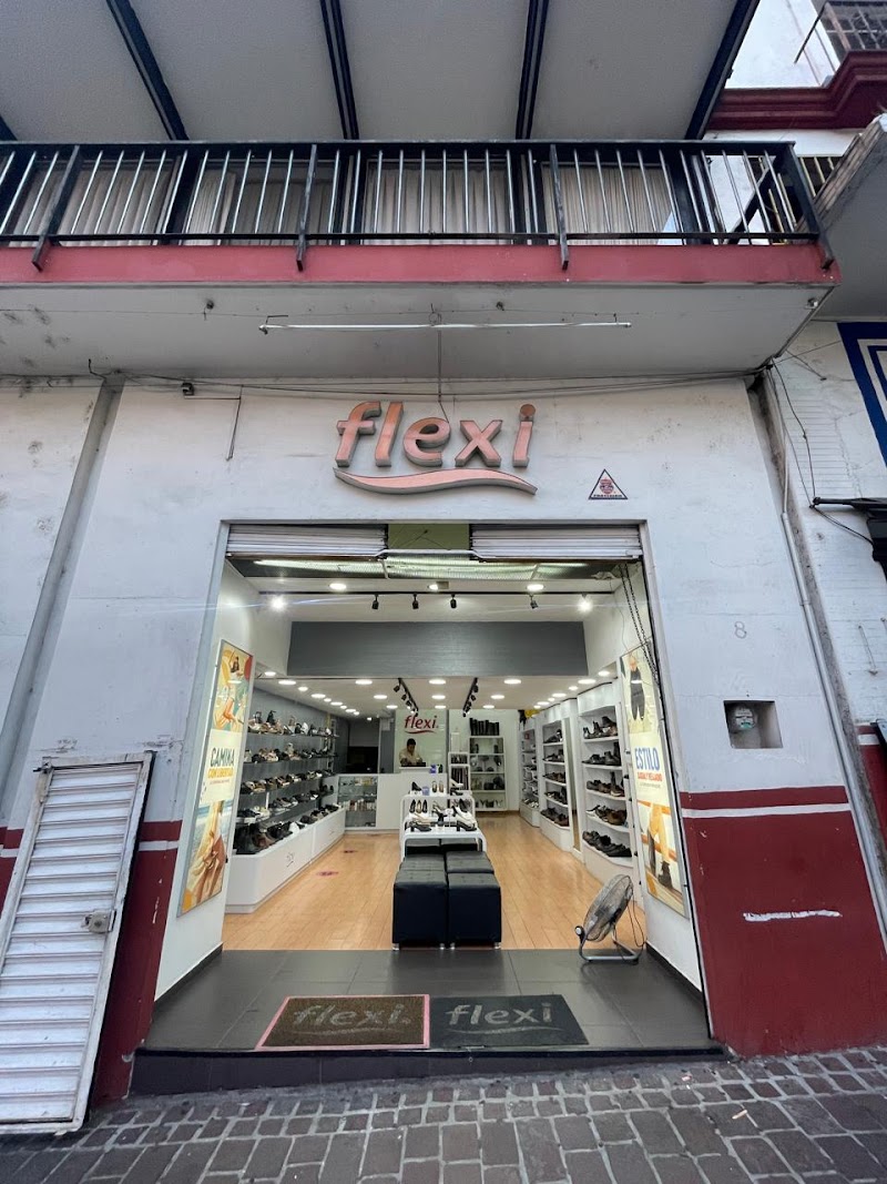 Flexi Uruapan (Cupatitzio) - Imagen 1