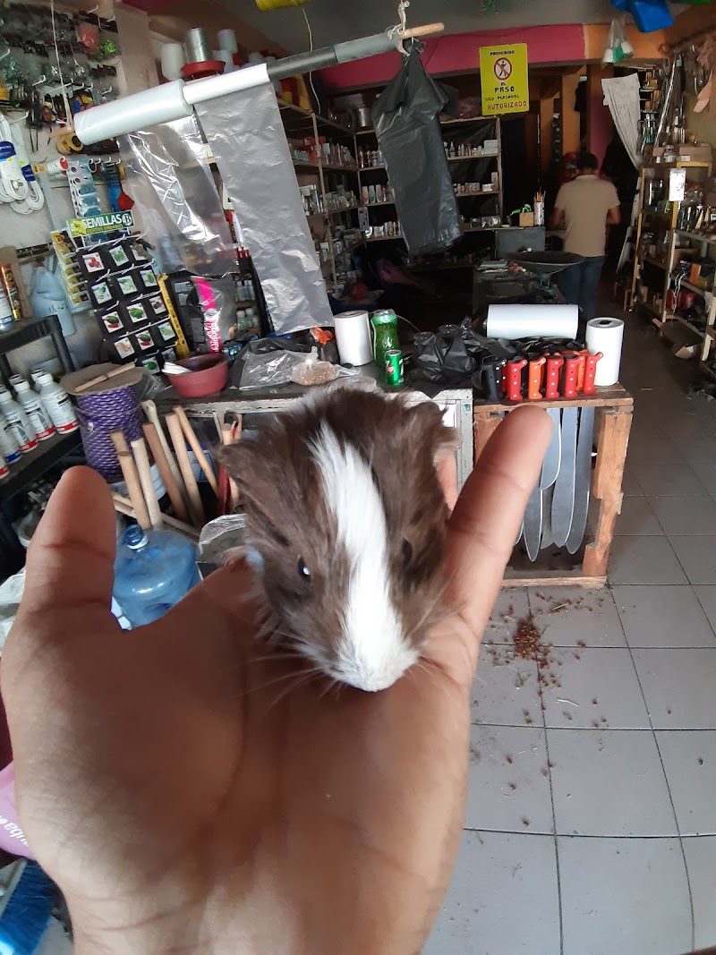 Veterinaria El Canelo