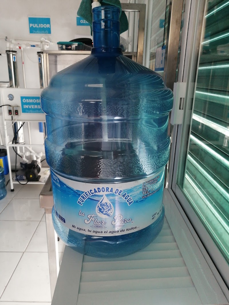 Purificadora de agua la flor pura - Imagen 1