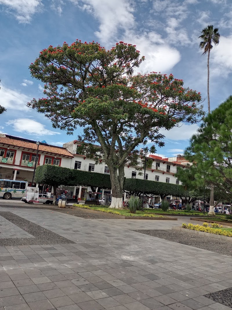 HOTEL Punto Verde - Imagen 1