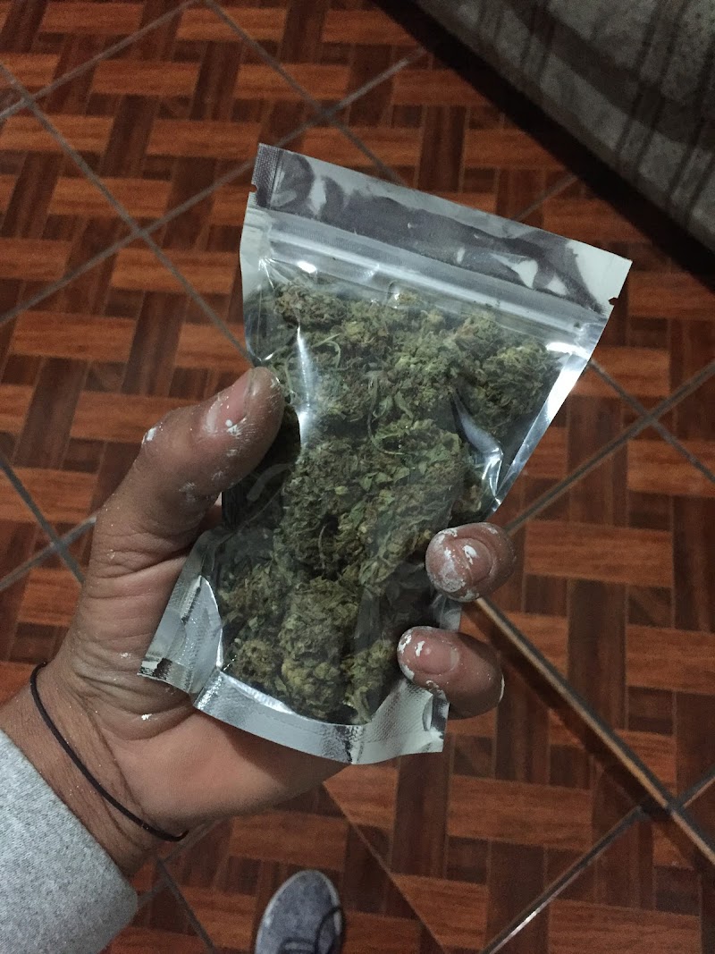 Zapatería El Rey León - Imagen 1