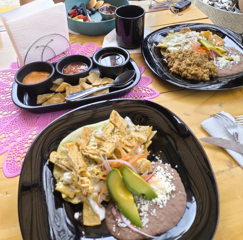 Casa Jardin Latino restaurante - Imagen 1