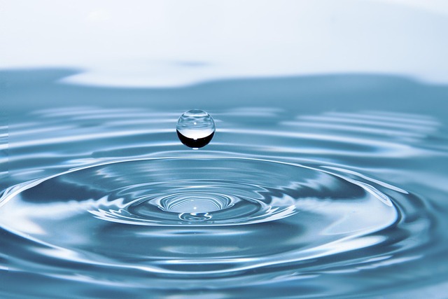 Purificadora de agua agua purified - Imagen 1
