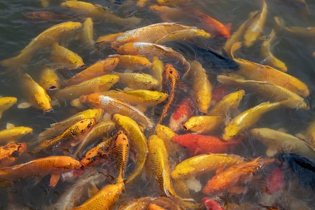 Abarrotes Gela - Imagen 1