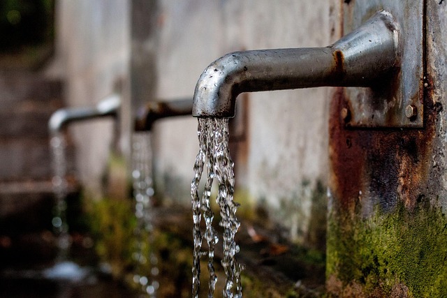Agua Maryna - Imagen 1