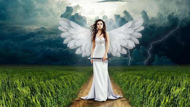Vulcanizadora ANGEL - Imagen 1