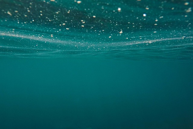 Purificadora De Agua Erendira