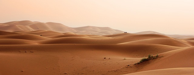Zapaterías Sahara - Imagen 1