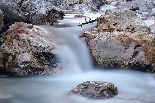 Purificadora agua de vida - Imagen 1