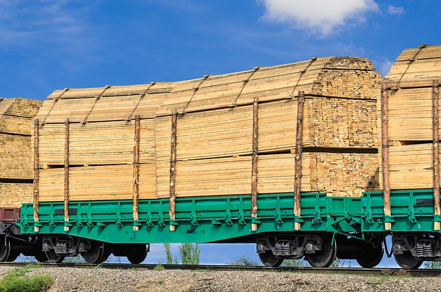TGN Logistics - Imagen 1