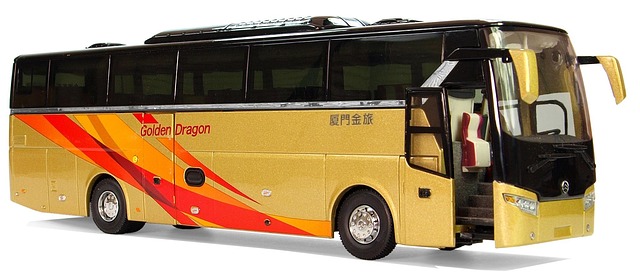 transportes maleja