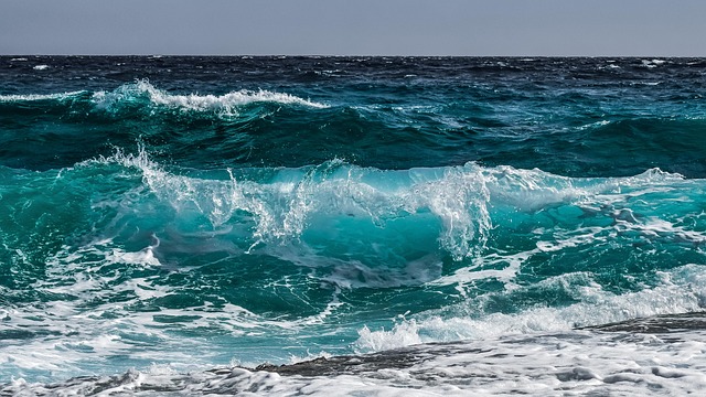 Purificadora de agua Alcavida - Imagen 1