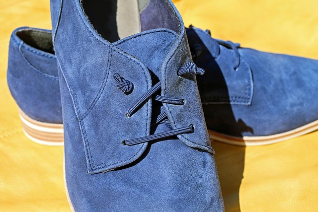 Ropa Y Zapatos Lupita - Imagen 1