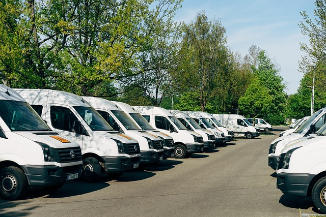 FORWARDER LOGISTICA - Imagen 1