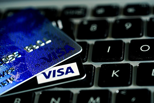 VISA logistica Aduanera S.C. Lázaro Cárdenas - Imagen 1